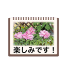 Flower’s  stamp 2（個別スタンプ：25）