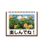 Flower’s  stamp 2（個別スタンプ：26）