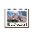 Flower’s  stamp 2（個別スタンプ：27）