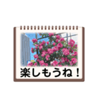 Flower’s  stamp 2（個別スタンプ：28）