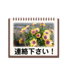 Flower’s  stamp 2（個別スタンプ：29）