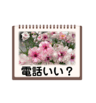 Flower’s  stamp 2（個別スタンプ：30）