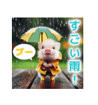 キュートなミニブタ 梅雨から夏向け（個別スタンプ：6）