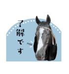 我が部の馬たち。（個別スタンプ：4）