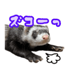 チーム和菓子スタンプ（個別スタンプ：9）