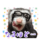 チーム和菓子スタンプ（個別スタンプ：13）