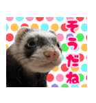 チーム和菓子スタンプ（個別スタンプ：27）