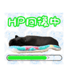 チーム和菓子スタンプ（個別スタンプ：32）