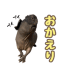 チーム和菓子スタンプ（個別スタンプ：33）