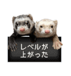 チーム和菓子スタンプ（個別スタンプ：36）