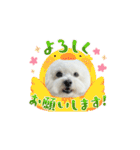 ☆ちょこスタンプ☆（個別スタンプ：16）