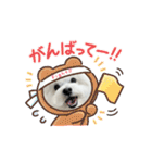 ☆ちょこスタンプ☆（個別スタンプ：17）