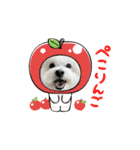 ☆ちょこスタンプ☆（個別スタンプ：20）
