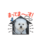 ☆ちょこスタンプ☆（個別スタンプ：34）