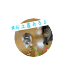 ハッシュタグと猫（個別スタンプ：1）