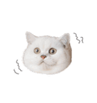 愉快にゃんこ（個別スタンプ：9）