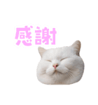 愉快にゃんこ（個別スタンプ：15）