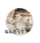 ueeeerinam_part6（個別スタンプ：2）