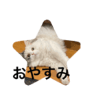 ueeeerinam_part6（個別スタンプ：3）