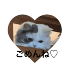 ueeeerinam_part6（個別スタンプ：5）