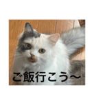 ueeeerinam_part6（個別スタンプ：6）