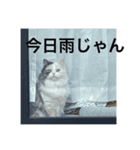 ueeeerinam_part6（個別スタンプ：7）