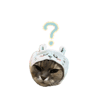 ピピさんの生活。（個別スタンプ：4）