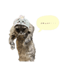 ピピさんの生活。（個別スタンプ：6）