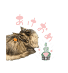 ピピさんの生活。（個別スタンプ：16）