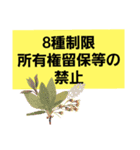 合格 宅建士（個別スタンプ：15）