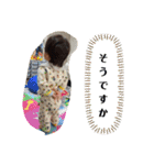 怪獣の生態6（個別スタンプ：9）