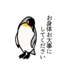 ペンギン18種の丁寧語スタンプ（個別スタンプ：34）