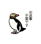 ペンギン18種の丁寧語スタンプ（個別スタンプ：39）