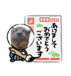 甲斐犬のうたちゃん（個別スタンプ：16）