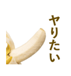 喋るバナナ【面白い・ネタ】（個別スタンプ：1）