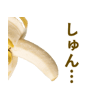 喋るバナナ【面白い・ネタ】（個別スタンプ：5）