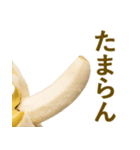喋るバナナ【面白い・ネタ】（個別スタンプ：16）