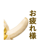 喋るバナナ【面白い・ネタ】（個別スタンプ：23）