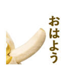喋るバナナ【面白い・ネタ】（個別スタンプ：26）