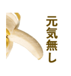 喋るバナナ【面白い・ネタ】（個別スタンプ：28）