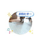 ラルクさん動画スタンプ02（個別スタンプ：6）