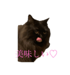 クロネコメンバーズ4（個別スタンプ：2）