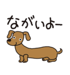 キュートな犬と鳥さん（個別スタンプ：17）