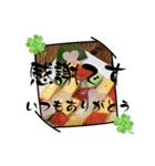 りあんの食卓(MX)（個別スタンプ：20）