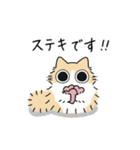 ねこぽっくる長毛クリームハチワレ【敬語】（個別スタンプ：22）