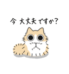 ねこぽっくる長毛クリームハチワレ【敬語】（個別スタンプ：25）