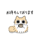 ねこぽっくる長毛クリームハチワレ【敬語】（個別スタンプ：27）