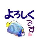 小笠原.ダイビング・魚.大文字（個別スタンプ：8）