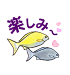 小笠原.ダイビング・魚.大文字（個別スタンプ：19）