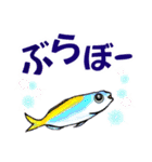 小笠原.ダイビング・魚.大文字（個別スタンプ：27）